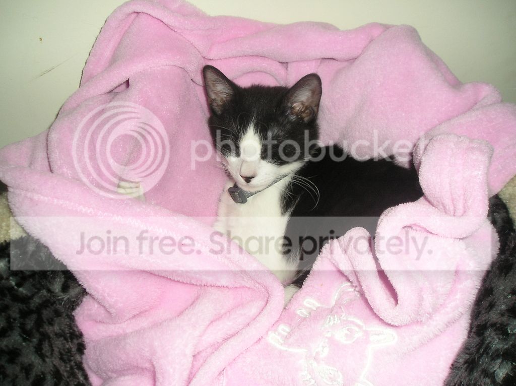 Sleepy%20Baby_zpszrh7ikiv.jpg