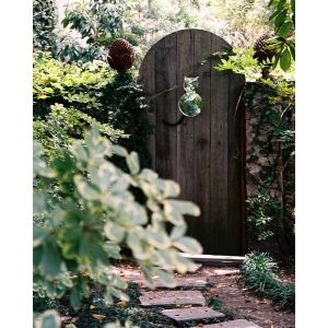 Cat_Gate1_zps4f6bed1e.jpg