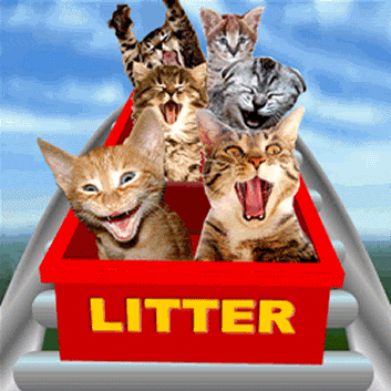 Animated-Cats-LitteronaRollerCoaste.gif