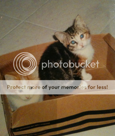 Picture16.png