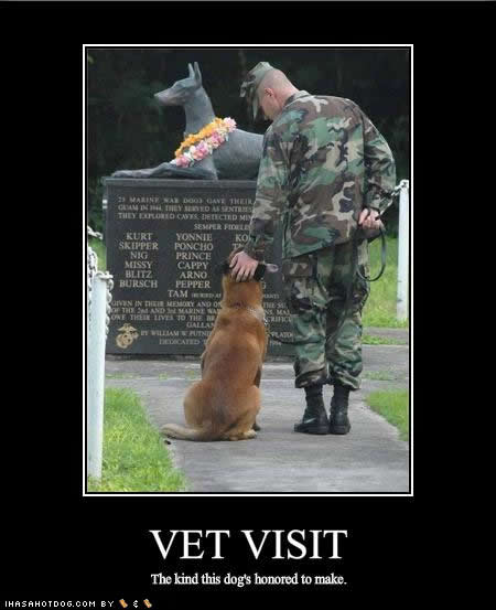 funny-dog-pictures-vet-honored.jpg