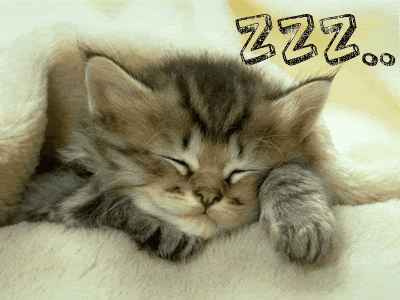 dreaming_kitten-1.gif