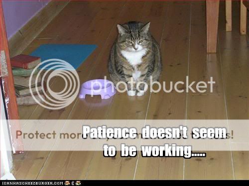 patience.jpg