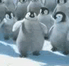 chubbypenguindancing.gif