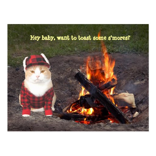 kitty_campfire_postcard-rf5be294a6e57423cb60d03a3d7bc4a15_vgbaq_8byvr_512.jpg