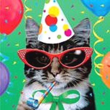 party-cat.jpg