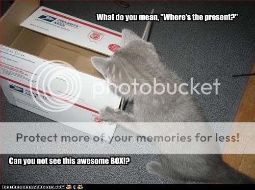 funny-pictures-cat-got-you-a-box.jpg