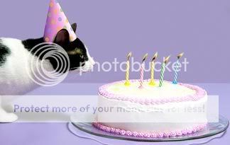 cat-birthday-ideas-324x205.jpg