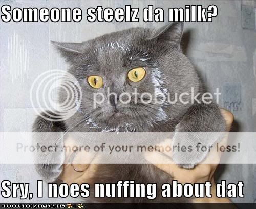 funny-pictures-grey-cat-milk-face.jpg