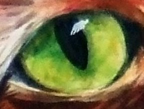 catseye.jpg