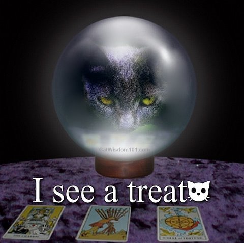 cat-crystal-ball-tarot-cute.jpg