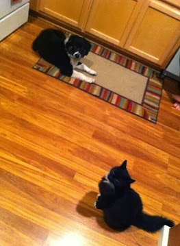 rpHQXttvdZtZ_7aOp_PvNTTV6z6ShlXV9BvuCzeILD8=w263-h359-no