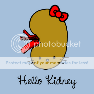 kidney.png