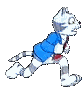 animated-cat-image-0555.gif