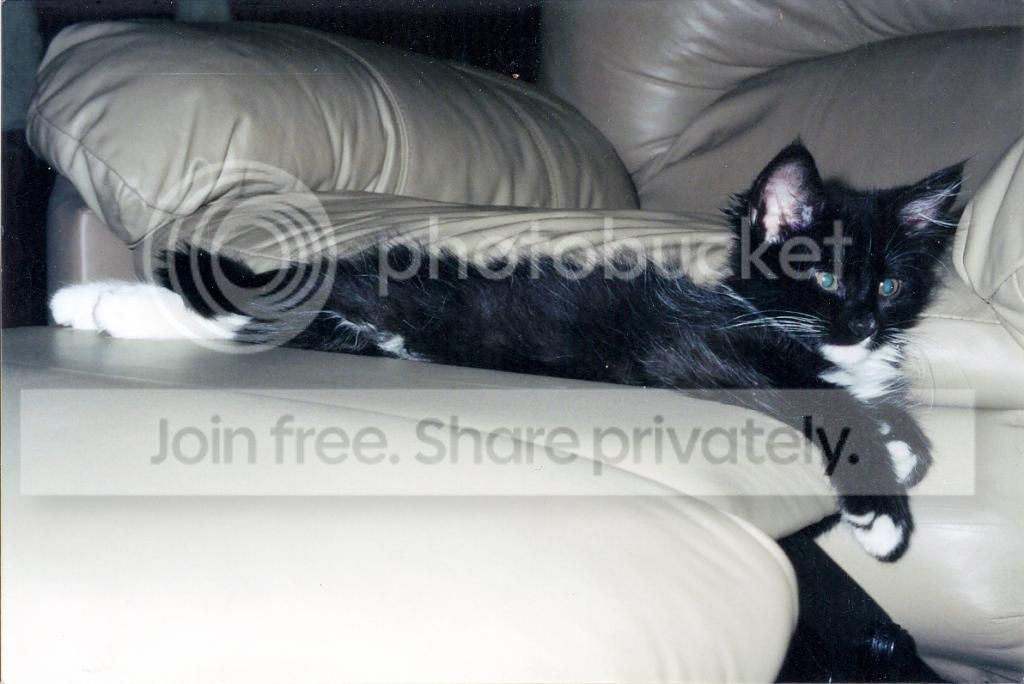 scan0003_zpse5fb15fa.jpg
