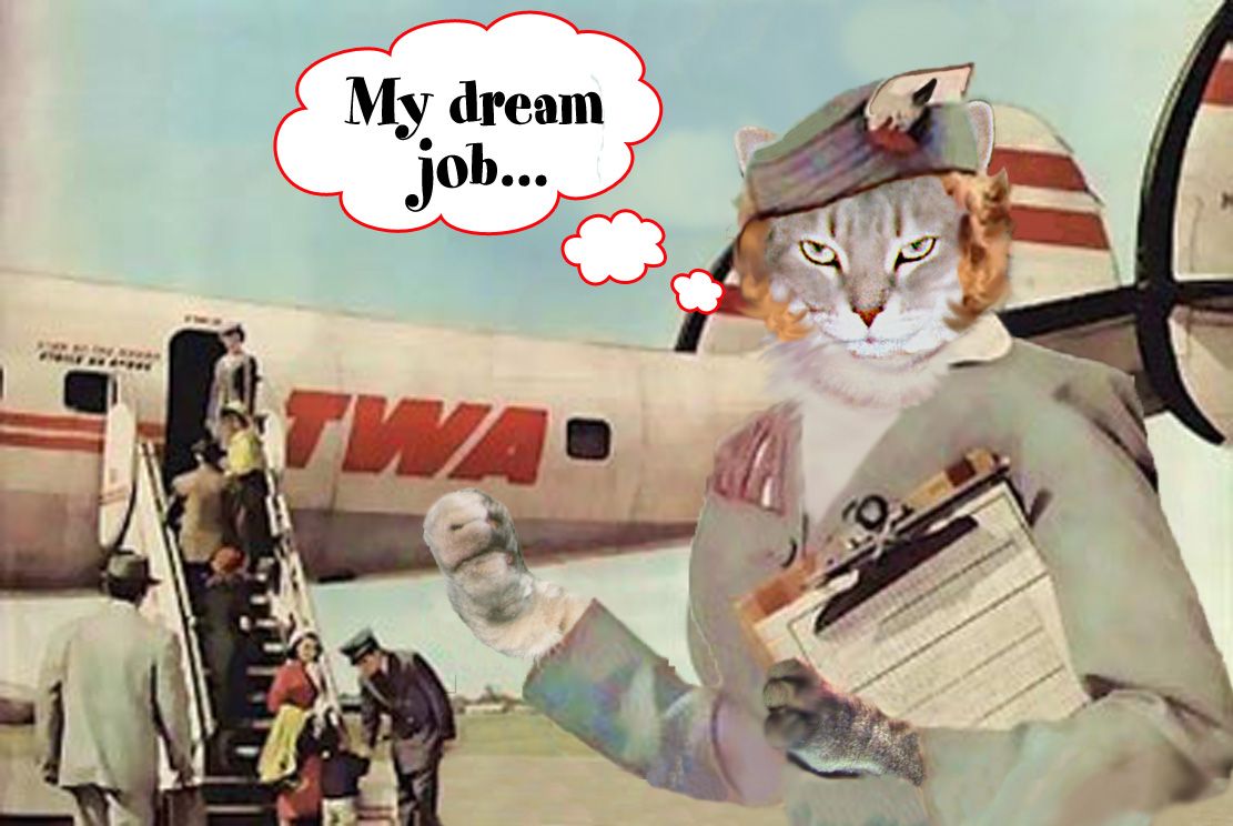 stewardessTWA2.jpg