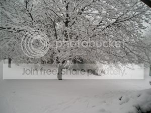 February3rd20142_zps3e0d0003.jpg