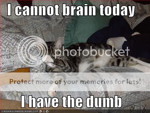 funny-pictures-cat-cannot-brain-tod.jpg