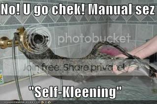 funny-pictures-cat-bath-self-cleani.jpg