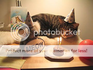 birthday_cat_card.jpg