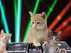 3dancingcats.gif