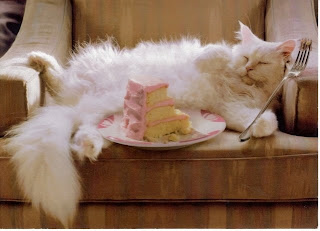 39CatRelaxing.jpg