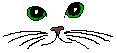 cat9.gif