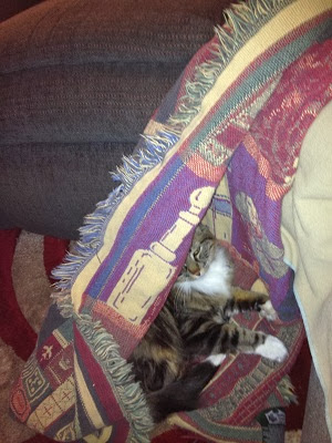 UTpS-59Yk5wqBiNdSttMbRi-C7wiMFg0jzPFTUDLFCM=w300-h400