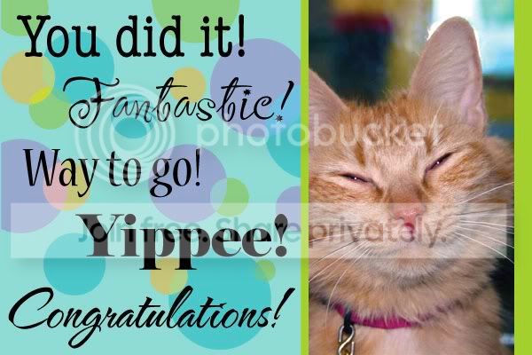 CatCongratulations.jpg