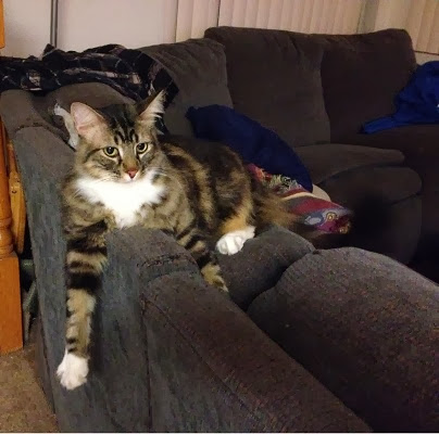 F97Y18RU6tD-xE5QWxKl7dkXv3VBdurdXVxsnrRXKDE=w404-h400