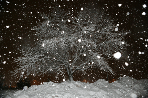 snowstorm09december282006snowstorm.gif