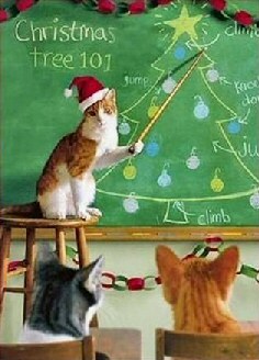 christmas_cat_climb.jpg
