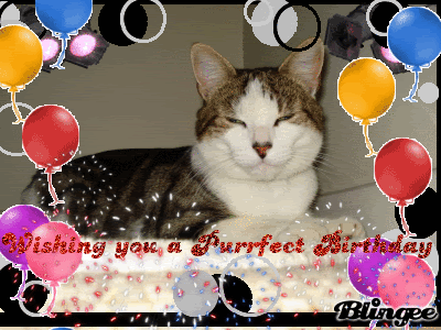 BdayCat.gif