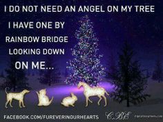 bd0252aca6636e1826983290490223be--animal-quotes-dog-quotes.jpg