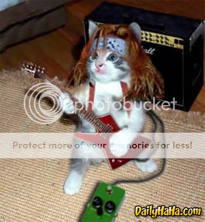 cat_guitar.jpg