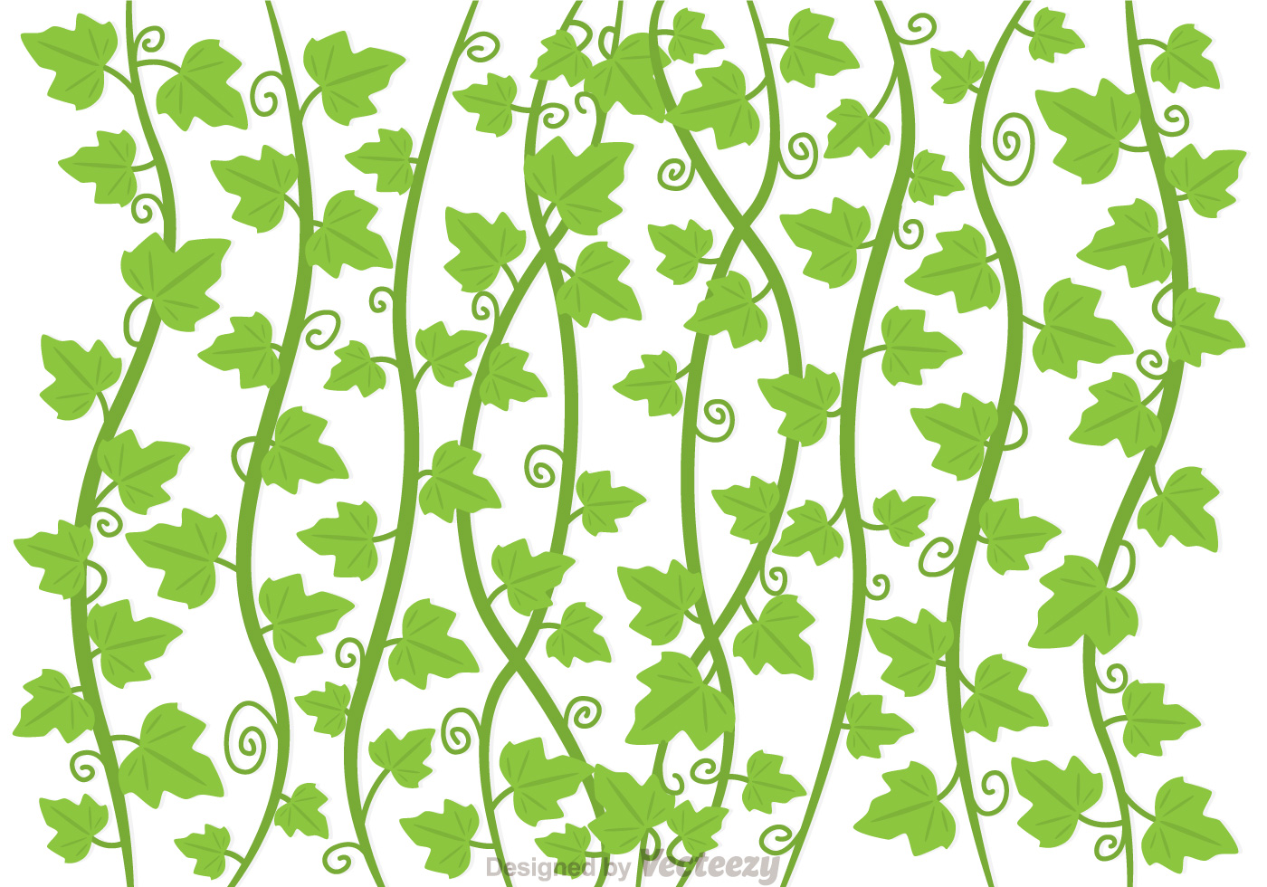 ivy-vine-vector.jpg