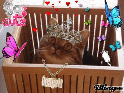 Princess%20Gracie_zpsph5kirko.gif