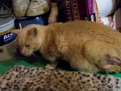 upload_2017-1-15_23-7-28-png.25722