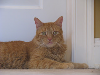 Chester.jpg