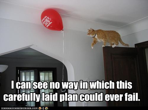 cat-plan1.jpg