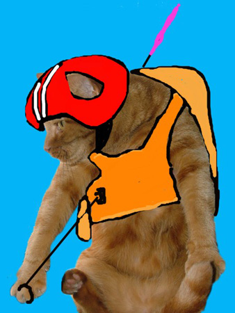 Cat_Parachuting.jpg