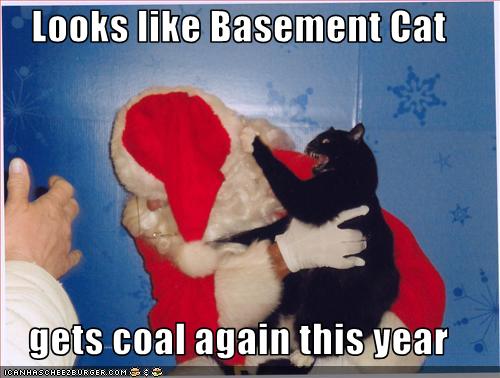 funny-pictures-basement-cat-attacks-santa.jpg