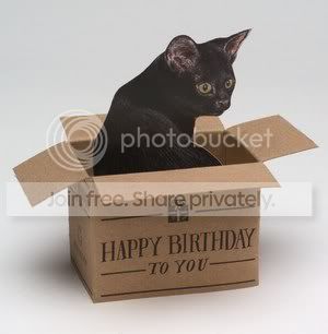 Happy_Birthday_Black_Cat_11.jpg