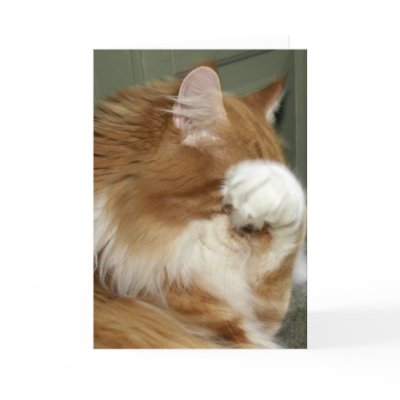 cat_covering_eyes_card-p137009269845924614z85cd_400.jpg