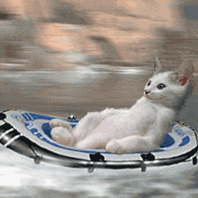 tumblr_l59il2bB8A1qcn249o1_400.gif