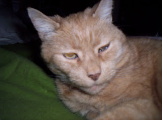 Humphry.JPG