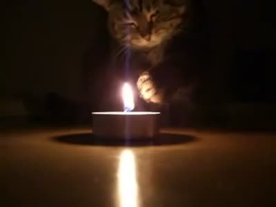 cat_and_candle.jpg