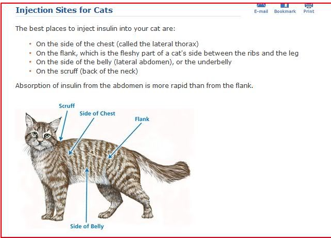 screen-shot-2022-06-25-at-8-59-46-pm-png.64612