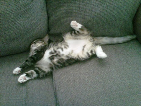 1RmLtWW_39FO3RtrmYSwqKG9J5rRKm5Sl9EaAOUF2rU=w478-h359-no