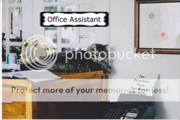 OfficeAssistant-1-1.jpg
